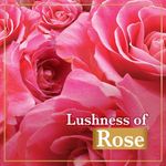 Buy Lux Soft Glow Rose & Vitamin E For Glowing Skin Beauty Soap Mega Pack 3X150 g - Purplle