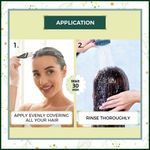 Buy Indus Valley Bio Organic Hair Strengthening Pack - Hair Care Special Combo Kit (120 g) - Purplle