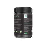 Buy Health Horizons Ayurvedic Sativa Hemp Chocolate Flavour Protein Powder 500 Gm (Pack of 2) - Purplle