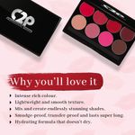 Buy C2P Pro Professional Basic Makeup Kit Lips (8 in 1) - Purplle