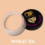 Buy C2P Pro HD Translucent Powder - Wheat 04 - Purplle