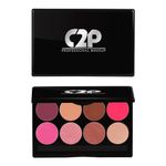 Buy C2P Pro Professional Basic Makeup Kit Blusher (8 in 1) - Purplle