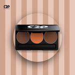 Buy C2P Pro Professional Basic Makeup Kit Trio Contour (3 In 1) - Purplle