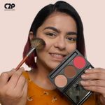 Buy C2P Pro Professional Basic Makeup Trio 2 (Blusher - Contour - Highlighter) - Purplle