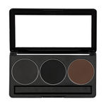 Buy C2P Pro Professional Basic Makeup Kit Trio Eyebrow (3 In 1) - Purplle