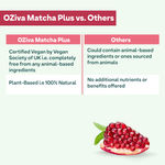 Buy OZiva Plant Based Matcha Plus (Organic Japanese Matcha Powder with Licorice & Activated Charcoal), Rich in Antioxidants, for Skin Pigmentation & Dark Circles, 50g - Purplle