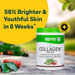 Buy OZiva Plant Based Collagen BuilderA forA Youthful, Radiant Skin & Anti-Ageing,A 250 gm - Purplle