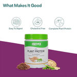 Buy OZiva Organic Plant Protein (30g Vegan Protein - Pea protein Isolate, Brown Rice Protein & Quinoa, Soy free) for Everyday Fitness, Unflavored, 500 gm - Purplle