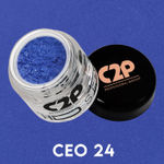 Buy C2P Pro HD Eyeshadow Loose Precious Pigments - Ceo 24 - Purplle