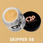 Buy C2P Pro HD Eyeshadow Loose Precious Pigments - Skipper 58 - Purplle