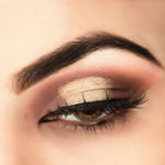 Buy C2P Pro HD Eyeshadow Loose Precious Pigments - Snow Flake 186 - Purplle