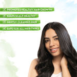 Buy Mamaearth Almond Shampoo| For Healthy Hair Growth| Deep Nourishment| With Almond Oil and Vitamin E | Pore Paraben Free | SLS Free | Safe for Chemically Treated Hair | 100% Vegan | - 250 ml - Purplle