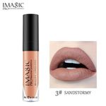 Buy IMAGIC PROfessional BEAUTY MATTE LIQUID LIP STICK LP-202-03 - Purplle