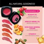 Buy Iba Must Have Everyday Lip & Cheek Tint - Timeless Mocha - Purplle