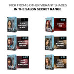 Buy BBLUNT Salon Secret High Shine Creme Hair Colour - Chocolate Dark Brown 3. No Ammonia  ( 100 g+8ml) - Purplle