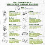 Buy Soulflower Apple Cider Vinegar, Pro-Vitamin B5 Shampoo 300ml, for Damaged Hair & Hair Fall Control - Purplle