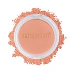 Buy Swiss Beauty Professional Blusher Soft Nude (4 gm) - Purplle