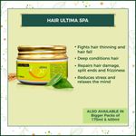 Buy Indus Valley Bio Organic Hair Regrowth Gift Pack DIY Kit 25 ml+5 ml+50 ml - Purplle