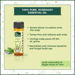 Buy Indus Valley Bio Organic Hair Regrowth Gift Pack DIY Kit 25 ml+5 ml+50 ml - Purplle
