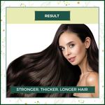 Buy Indus Valley Bio Organic Hair Regrowth Gift Pack DIY Kit 25 ml+5 ml+50 ml - Purplle