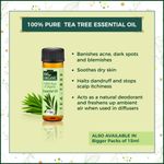 Buy Indus Valley Bio Organic Skin Moisturizing Serum Gift Pack DIY Kit 30 ml+50 ml+5 ml - Purplle