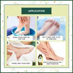 Buy Indus Valley Bio Organic Foot Relaxation Gift Pack Combo DIY Kit 25ml+30gm+25ml - Purplle