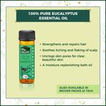 Buy Indus Valley Bio Organic Hair Softener Gift Pack DIY Kit 25 ml+30 gm+5 ml - Purplle
