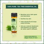 Buy Indus Valley Bio Organic Natural Oil Removal Face Pack DIY Kit 30 ml+30 gm+5 ml - Purplle