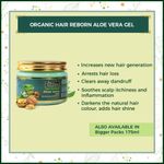 Buy Indus Valley Bio Organic Hair Revival Gift Pack DIY Kit 25 ml+25 ml+30 gm - Purplle