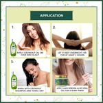 Buy Indus Valley Bio Organic Hair Revival Gift Pack DIY Kit 25 ml+25 ml+30 gm - Purplle