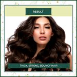 Buy Indus Valley Bio Organic Hair Revival Gift Pack DIY Kit 25 ml+25 ml+30 gm - Purplle