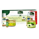 Buy Indus Valley Bio Organic Scalp Rejuvenating Gift Pack DIY Kit Combo of 6 - Purplle