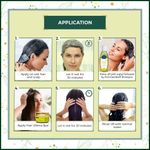 Buy Indus Valley Bio Organic Dandruff Clarifying Hair Gift Pack DIY Kit Combo of 6 - Purplle