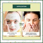 Buy Indus Valley Bio Organic pH Balancing Face Pack DIY Kit Pack of 4 - Purplle