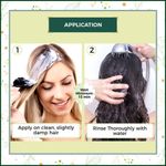 Buy Indus Valley Bio Organic Dry Hair Conditioning Gift Pack DIY kit 30 gm+30 gm+25 ml+25 ml - Purplle