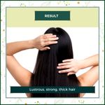 Buy Indus Valley Bio Organic Dry Hair Conditioning Gift Pack DIY kit 30 gm+30 gm+25 ml+25 ml - Purplle