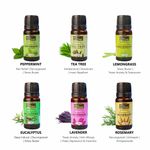 Buy Indus Valley Bio Organic Essential Oils Gift Pack - 10 ml each (Pack of 6) - Purplle