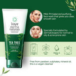 Buy Kaya Clinic Tea Tree Purifying Face Wash, with Niacinamide, Paraben & Sulphate free, Vegan, pH balanced, For normal, oily, acne-prone skin, 50 ml - Purplle