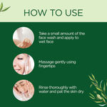 Buy Kaya Clinic Tea Tree Purifying Face Wash, with Niacinamide, Paraben & Sulphate free, Vegan, pH balanced, For normal, oily, acne-prone skin, 50 ml - Purplle