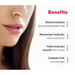 Buy Love Earth Lip Sleeping Mask With Vitamin C & Essential Oils For Soft, Long-Losting, Moisturised & Supple Lips 8 gm - Purplle