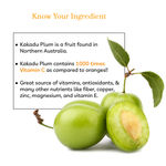 Buy Purplle Vitamin C Summer Sorbet Moisturiser with Kakadu Plum (50 gm) - Purplle