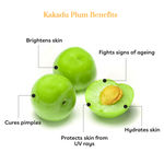 Buy Purplle Vitamin C Summer Sorbet Moisturiser with Kakadu Plum (50 gm) - Purplle