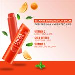 Buy FACES CANADA Lip Balm - Orange Mint, 4.5g | 12HR Moisture | SPF 15 | Shea Butter, Vitamin C & E Enriched | Hydrating & Nourishing For Dry Chapped Lips - Purplle