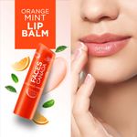 Buy FACES CANADA Lip Balm - Orange Mint, 4.5g | 12HR Moisture | SPF 15 | Shea Butter, Vitamin C & E Enriched | Hydrating & Nourishing For Dry Chapped Lips - Purplle