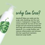Buy Plum Tea Tree Anti-Dandruff Shampoo (300 ml) - Purplle