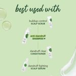 Buy Plum Tea Tree Anti-Dandruff Shampoo (300 ml) - Purplle