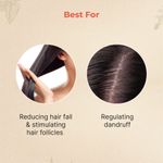 Buy Vedix Customised Ayurvedic Hair Oil | Saha Bhringraj Booster Oil | For Hair Growth And Thick Hair | With Bhringraj And Sesame - Purplle