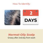 Buy Vedix Customised Ayurvedic Hair Fall Oil | Viruj Hair Fall Oil | For Normal-Oily Scalp| With Coconut + Argan + Tea Tree | For Reducing Hair Fall | For Hair Growth | - Purplle