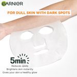 Buy Garnier Hyaluronic Acid Ampoule Face Sheet Mask With Watermelon - For Dull And Extreme Dry Skin (15 g) - Purplle