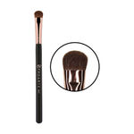 Buy Proarte AE-21 Eyelid Applicator Brush Black - Purplle